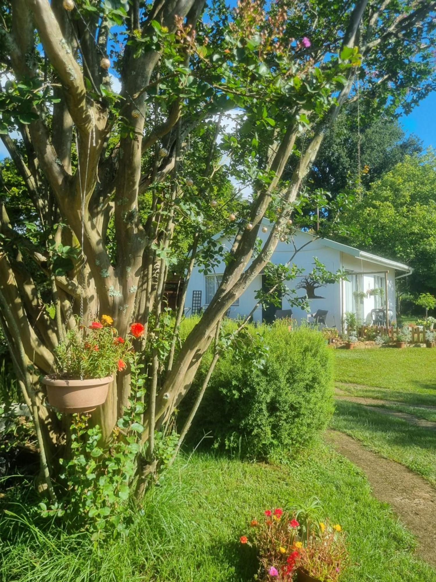The Cottage On The Corner 海姆维尔 外观 照片