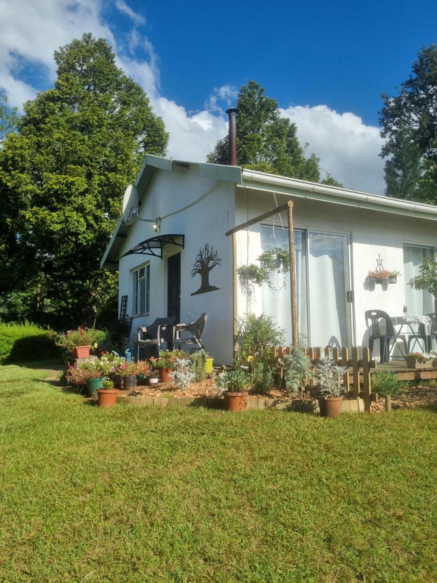 The Cottage On The Corner 海姆维尔 外观 照片